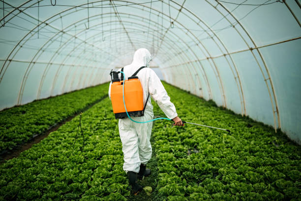 Best Pest Prevention Services  in Monee, IL