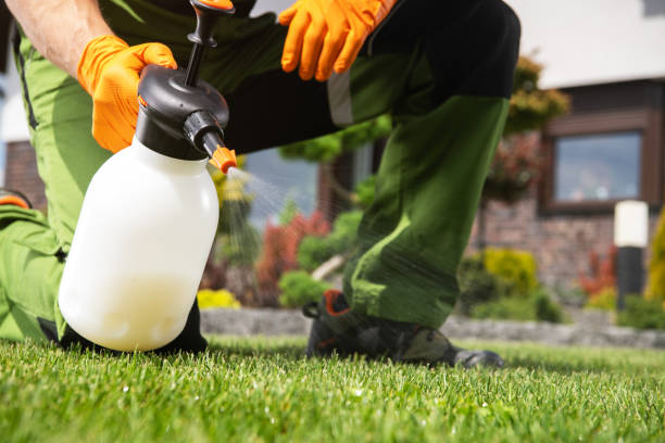 Best Best Pest Control Companies  in Monee, IL