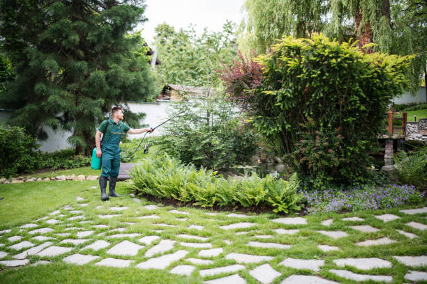 Best Commercial Pest Control Services  in Monee, IL