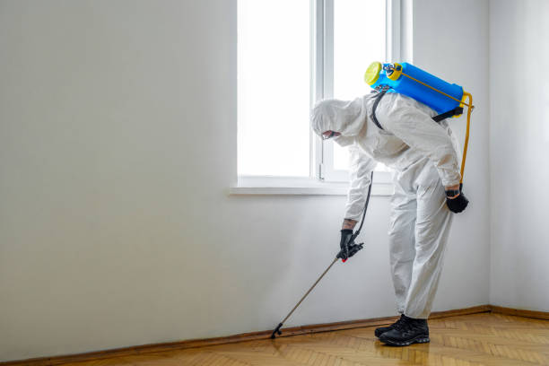Best Bed Bug Extermination  in Monee, IL
