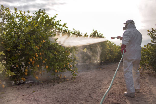 Best Pest Removal Services  in Monee, IL