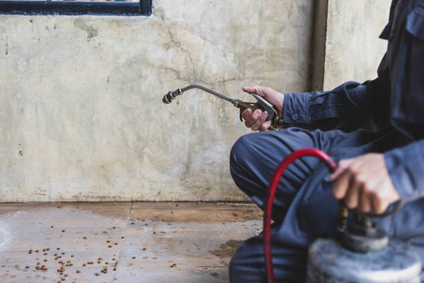 Best Pest Control Near Me in Monee, IL